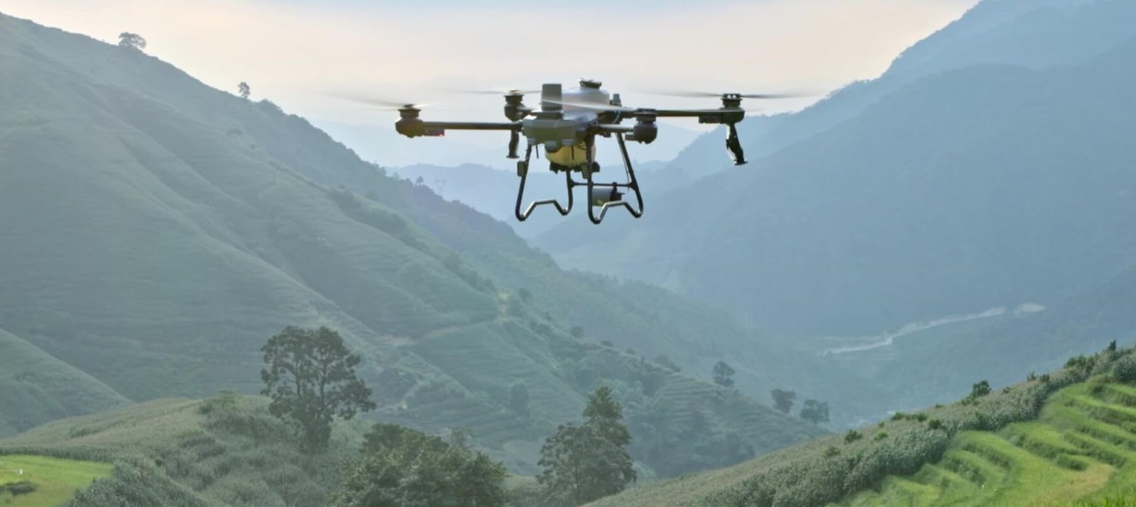 f716c10ac1e7d3aae6ddb92777caaa3e